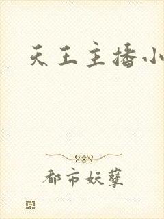 天王主播小说