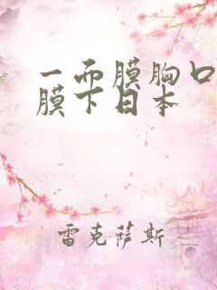 一面膜胸口一面膜下日本