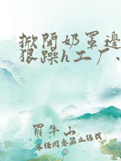 掀开奶罩边躁狠狠躁h工厂小说