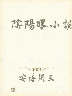 阴阳眼小说