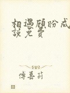 相遇顾盼成欢小说免费