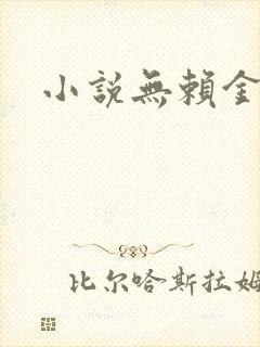 小说无赖金仙