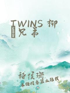 TWINS 柳澤兄弟