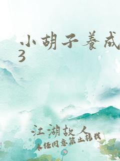 小胡子养成计划3