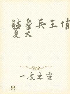 贴身兵王俏总裁夏天