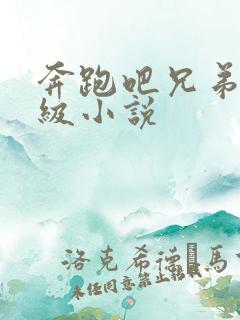 奔跑吧兄弟限制级小说