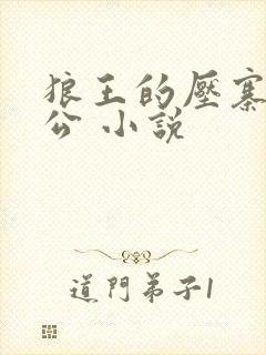 狼王的压寨小相公 小说