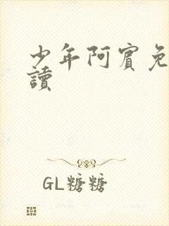 少年阿宾免费阅读