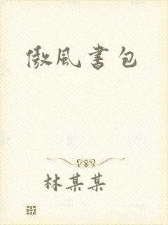傲风书包