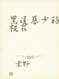 黑道恶少的淘气校花