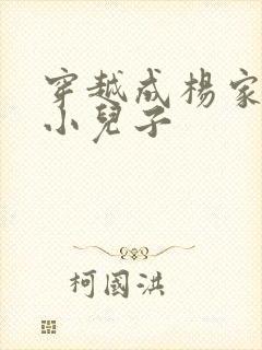 穿越成杨家将最小儿子