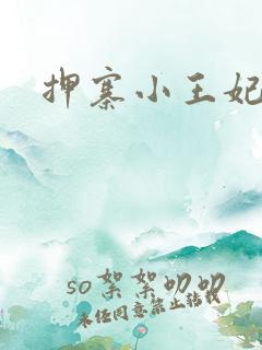 押寨小王妃