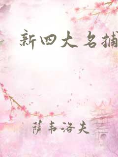 新四大名捕全集