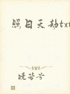 照日天劫txt