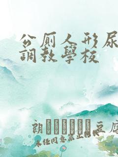 公厕人形尿便器调教学校