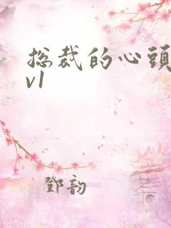 总裁的心头宝1v1