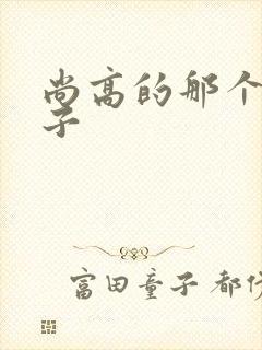 尚高的那个臭小子