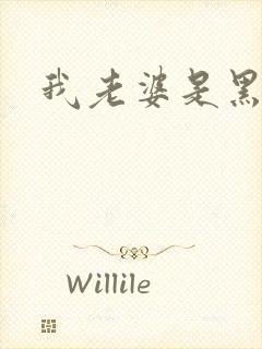 我老婆是黑社会