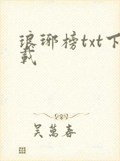 琅琊榜txt下载