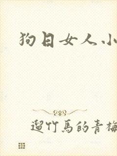 狗日女人小说