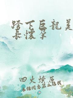 跨下巨龙美妇市长怀孕