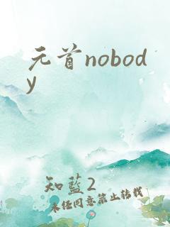 元首nobody