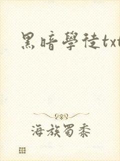 黑暗学徒txt