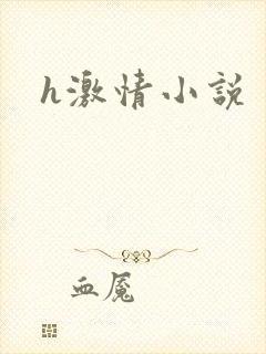 h激情小说