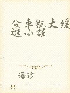 公车粗大缓缓挤进小说