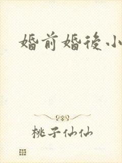 婚前婚后小说
