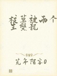 校草被两个体育生双龙