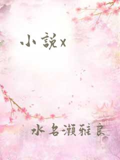 小说x