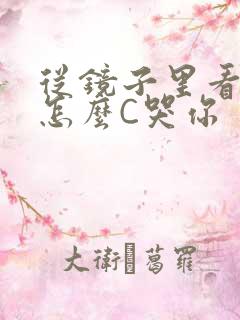 从镜子里看我是怎么C哭你