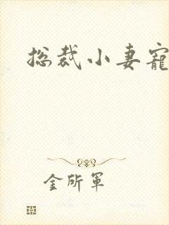 总裁小妻宠上天