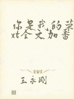 你是我的荣耀txt全文加番外