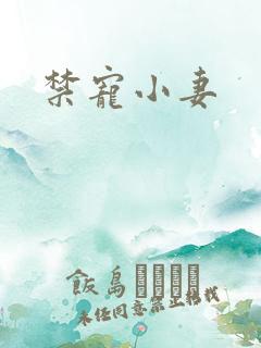 禁宠小妻