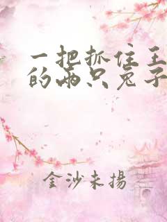 一把抓住王昭君的两只兔子