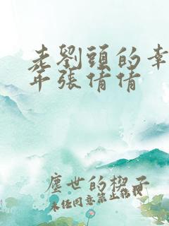 老刘头的幸福晚年张倩倩