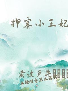 押寨小王妃