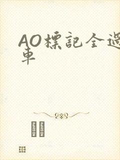 AO标记全过程车