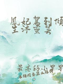 凤妃驾到倾倒众生沐灵芸