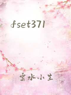 fset371