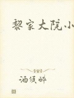 黎家大院小说
