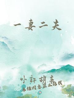 一妻二夫