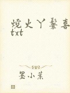 烧火丫鬟喜洋洋txt