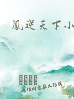 凤逆天下小说