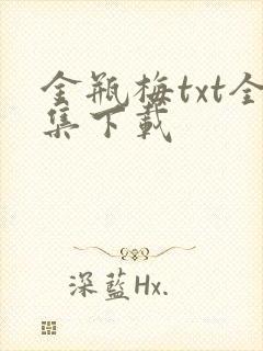 金瓶梅txt全集下载