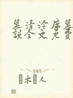 慕清泠席慕深小说全文免费阅读