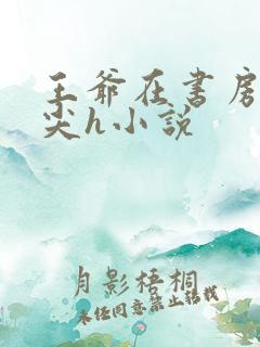 王爷在书房含乳尖h小说