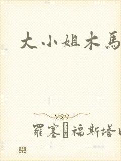 大小姐木马